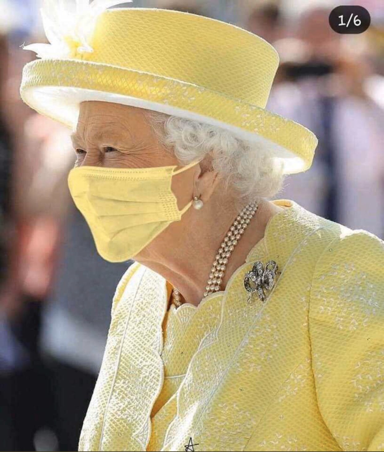Photos of Queen Elizabeth Wearing Matching Nose Masks - Everything You