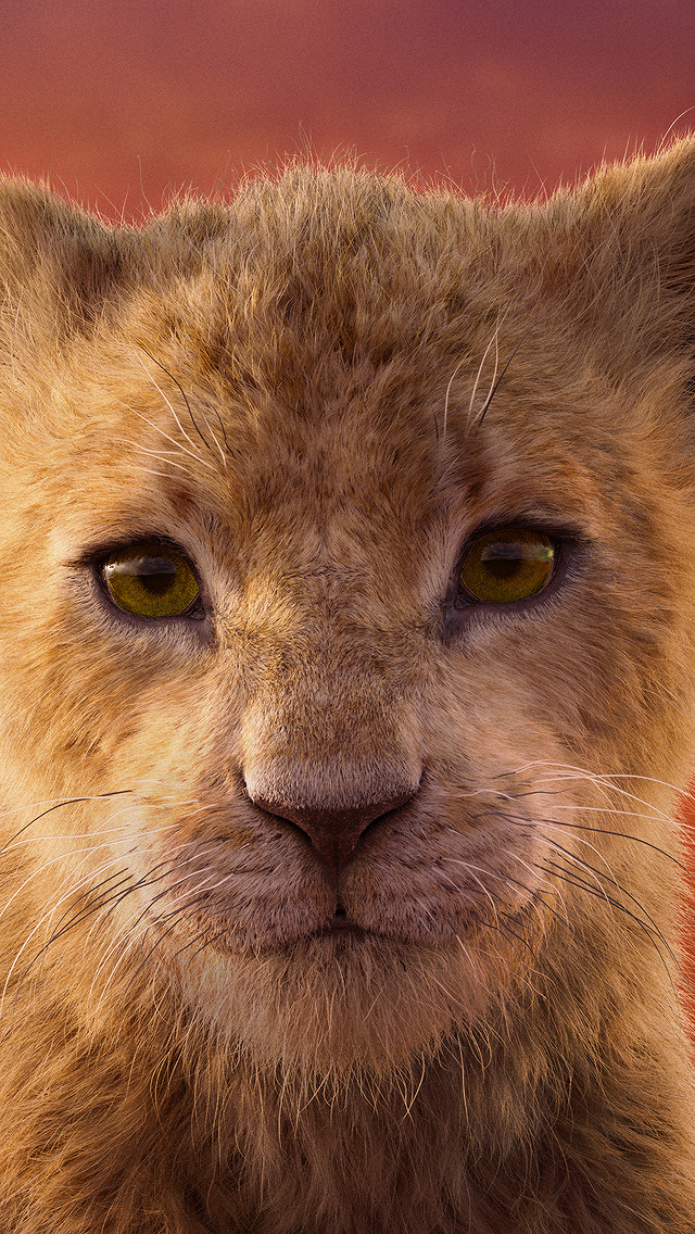 The Lion King – Ajude Simba nesta aventura digna do Rei das Selvas!