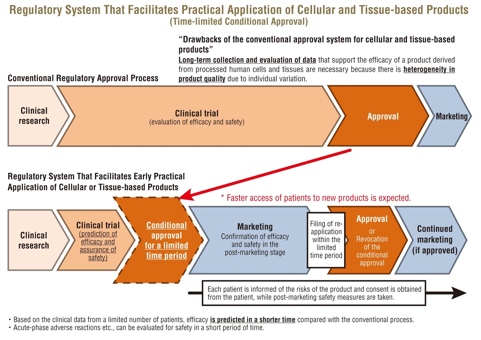 Nursing regulatory process picture