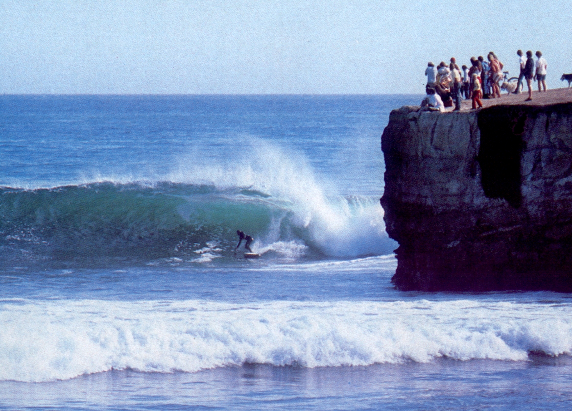 Forestdweller Steamer Lane