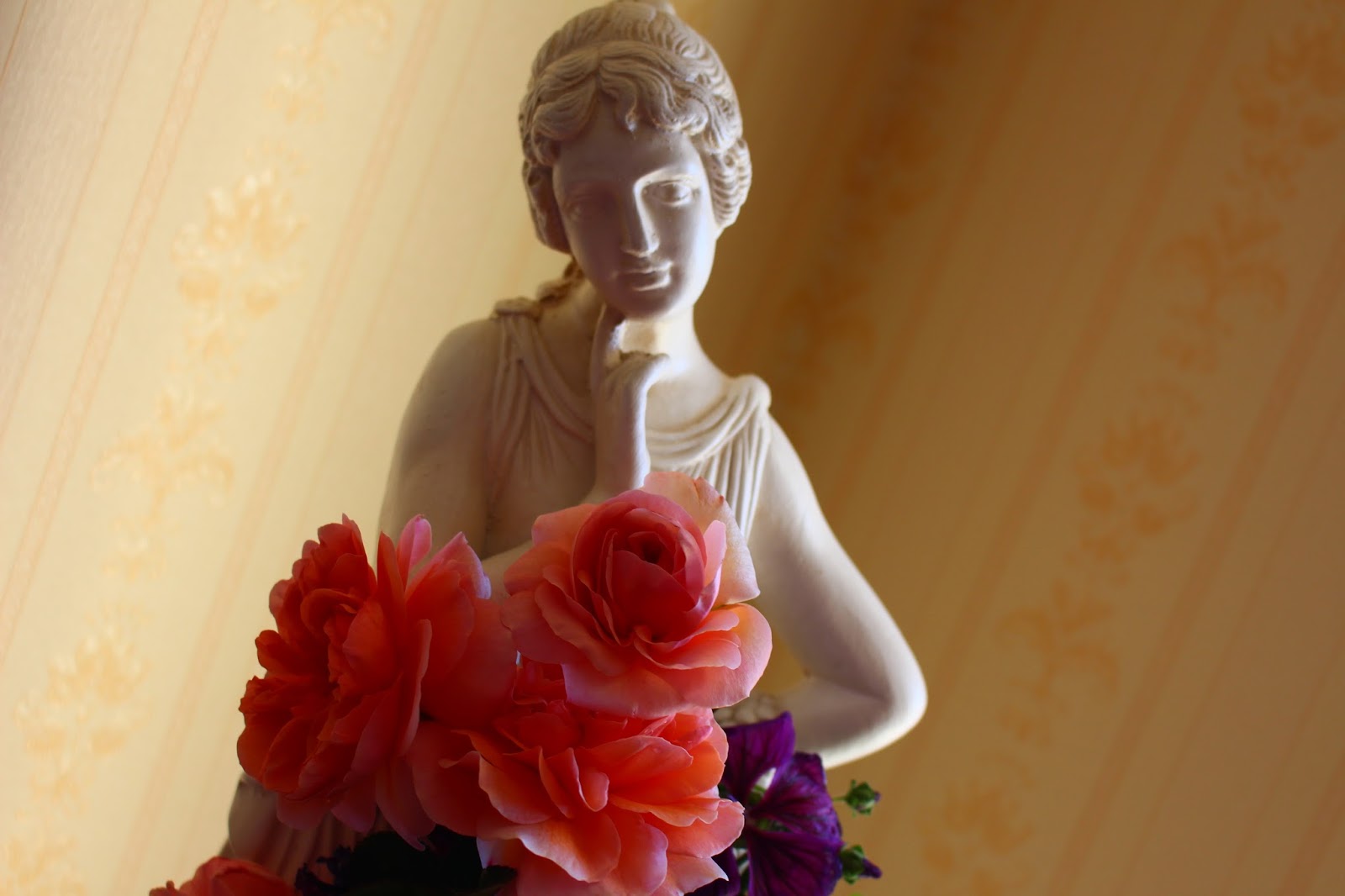 Roses Du Jardin Cheneland Hydrangea Paniculata Levana