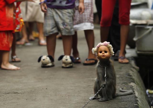 Живые куклы-попрошайки Джакарты