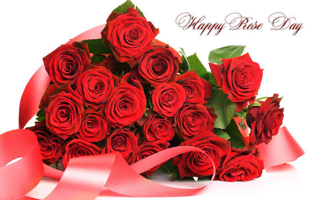 Red roses for rose day Valentine day Images Red roses for rose day Valentine day Images