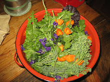 Back Yard Salad Garden