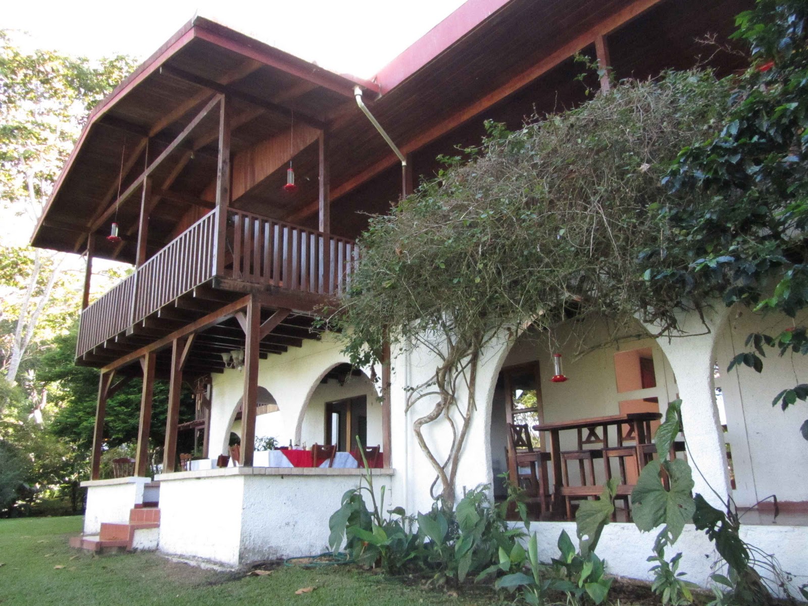 From Maine to Antarctica: COSTA RICA