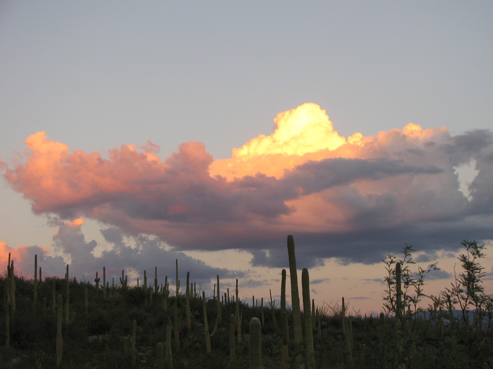 Exploring The American West Evening Hike At Sabino Canyon Arizona 
