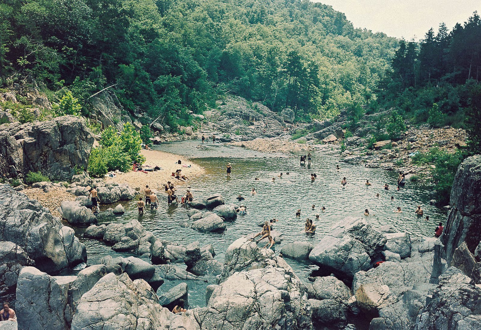 Sharks Eat Meat DAY 271 Johnson's ShutIns