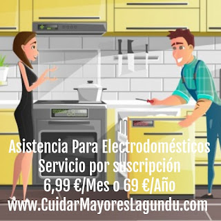 Asistencia Electrodomesticos en Guipuzcoa Gipuzkoa donostia irun hondarribia