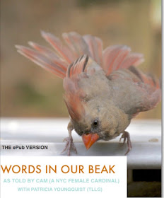 BUY "WORDS IN OUR BEAK, THE EPUB VERSION"