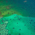 Gigantesco coral australiano es más alto que el Empire State