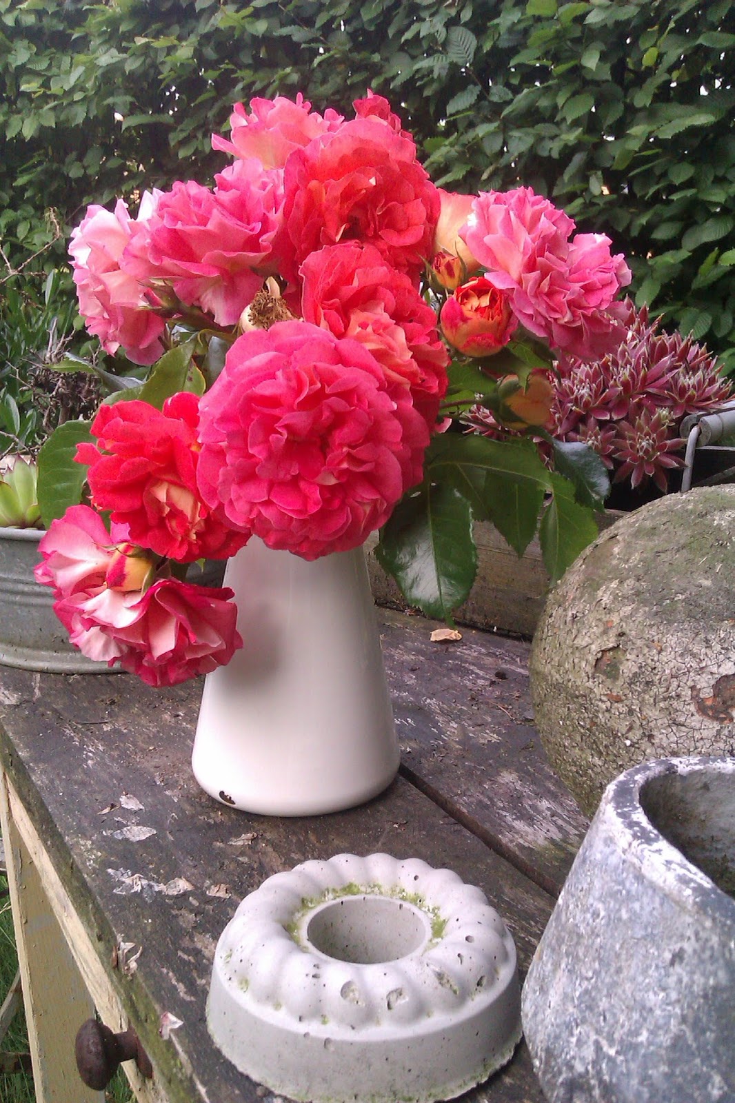 Frau Frieda Ein Hauch Von Romantik