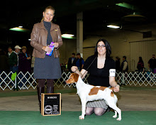 Mel's first show win at 8 months