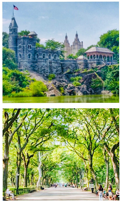 The Castle n The Mall, Central Park Pedicabs