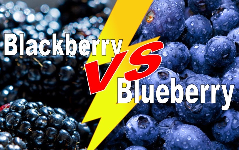 Blackberry vs Blueberry Difference and Comparison