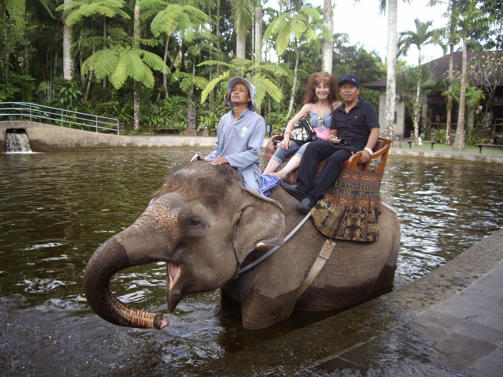 KASENA--THE BEST DRIVER ON BALI--WITH VIV AT TARO ELEPHANT SAFARI PARK