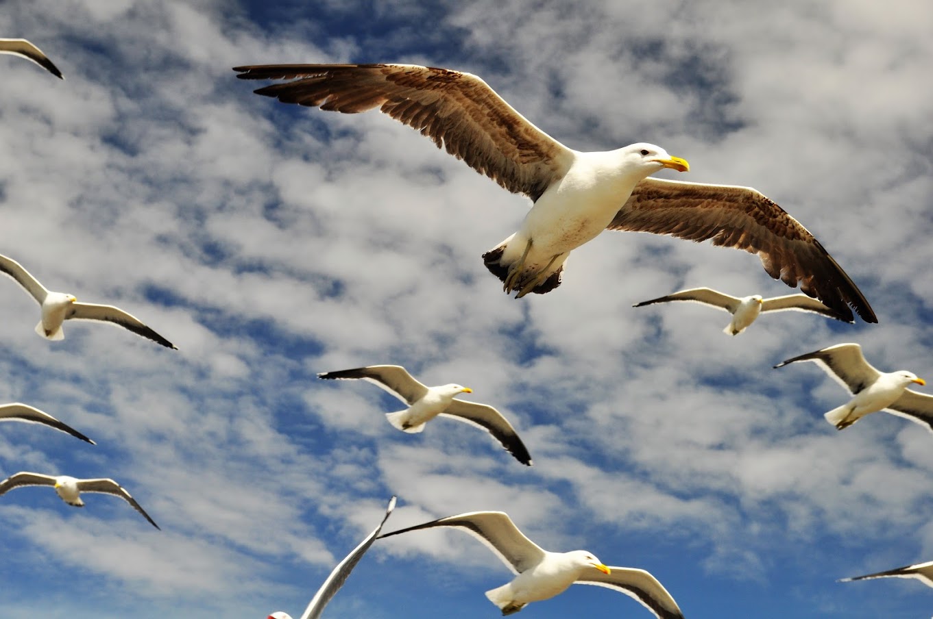 Dutchcorner: Past meets present