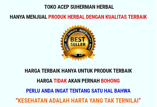 Obat Herbal Penyakit Rematik Paling Ampuh