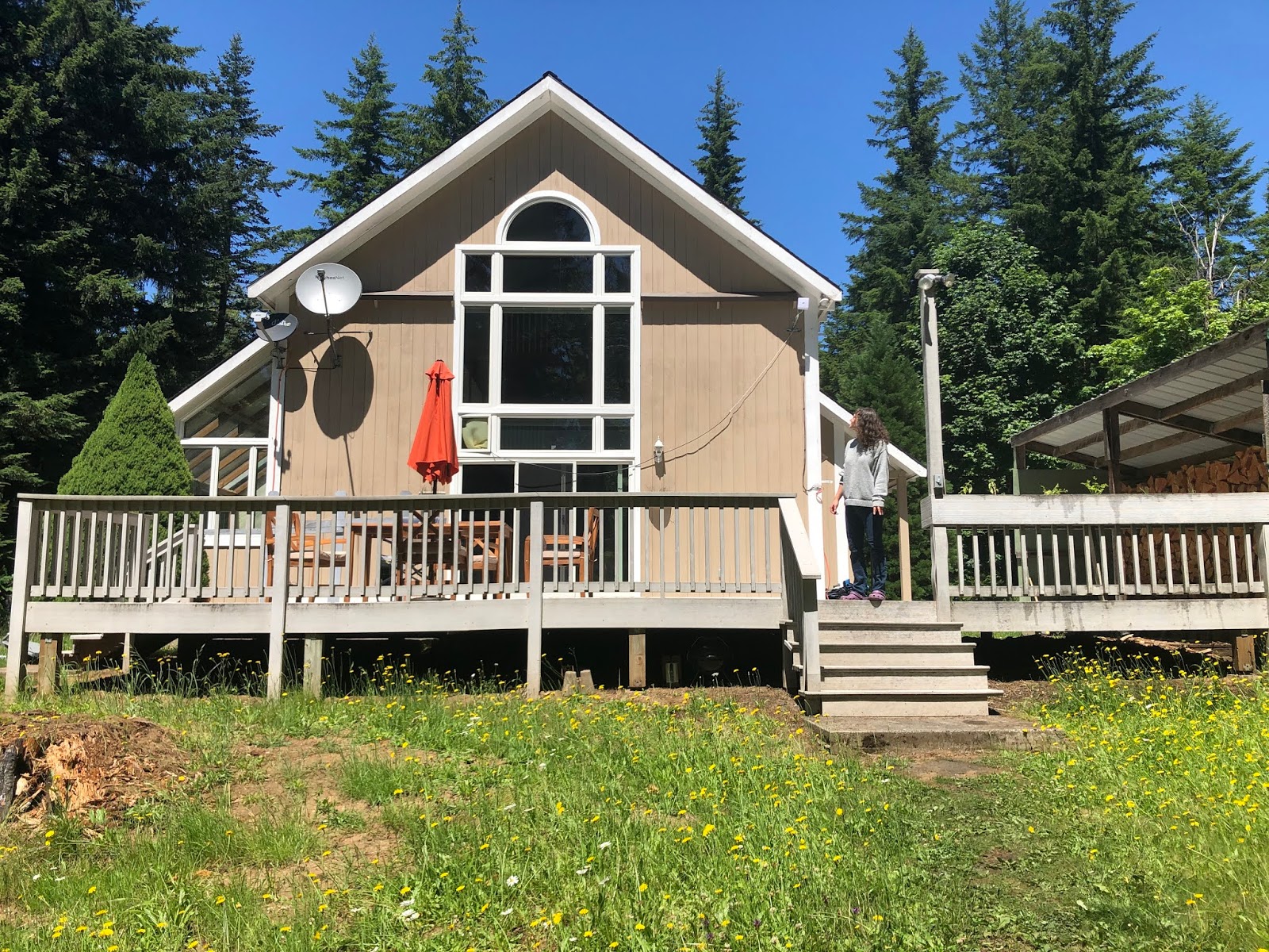 Freedom Folly 7/4/20 Zoe and Gabe's New Home Cedar Flats Road