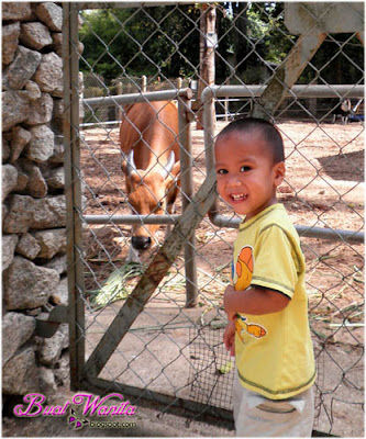 Mini Zoo Taman Teruntum. Tempat menarik dan best di Kuantan Pahang Malaysia