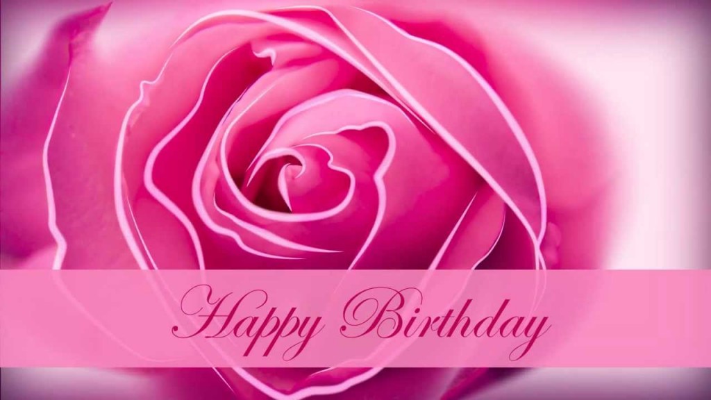 pink happy birthday roses