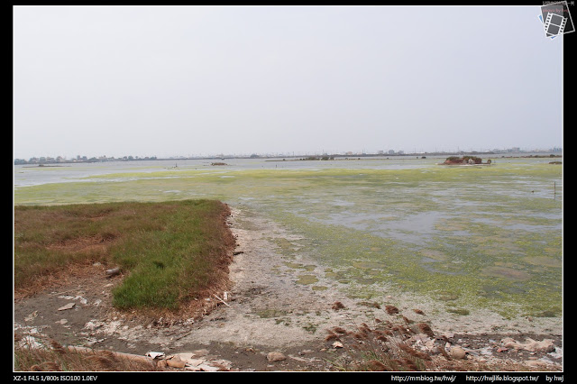 2017-04-01 雲林口湖鄉-海口故事園區+成龍濕地