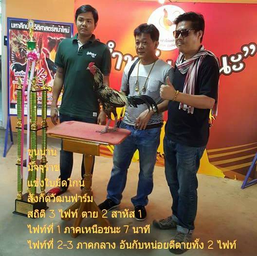 My Image 17