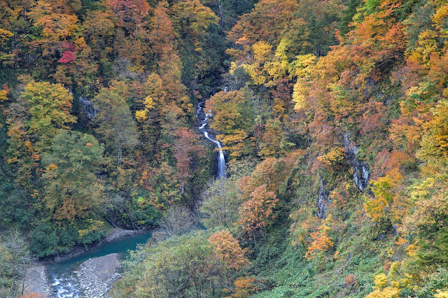 #photo #landscape #sigma #foveon #sdquattroh #japan #yamagata #tsuruoka #写真 #風景写真 #山形帝國 #山形県 #鶴岡市