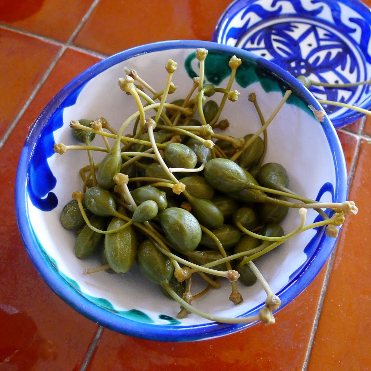 MY KITCHEN IN SPAIN THE GREAT CULINARY CAPER