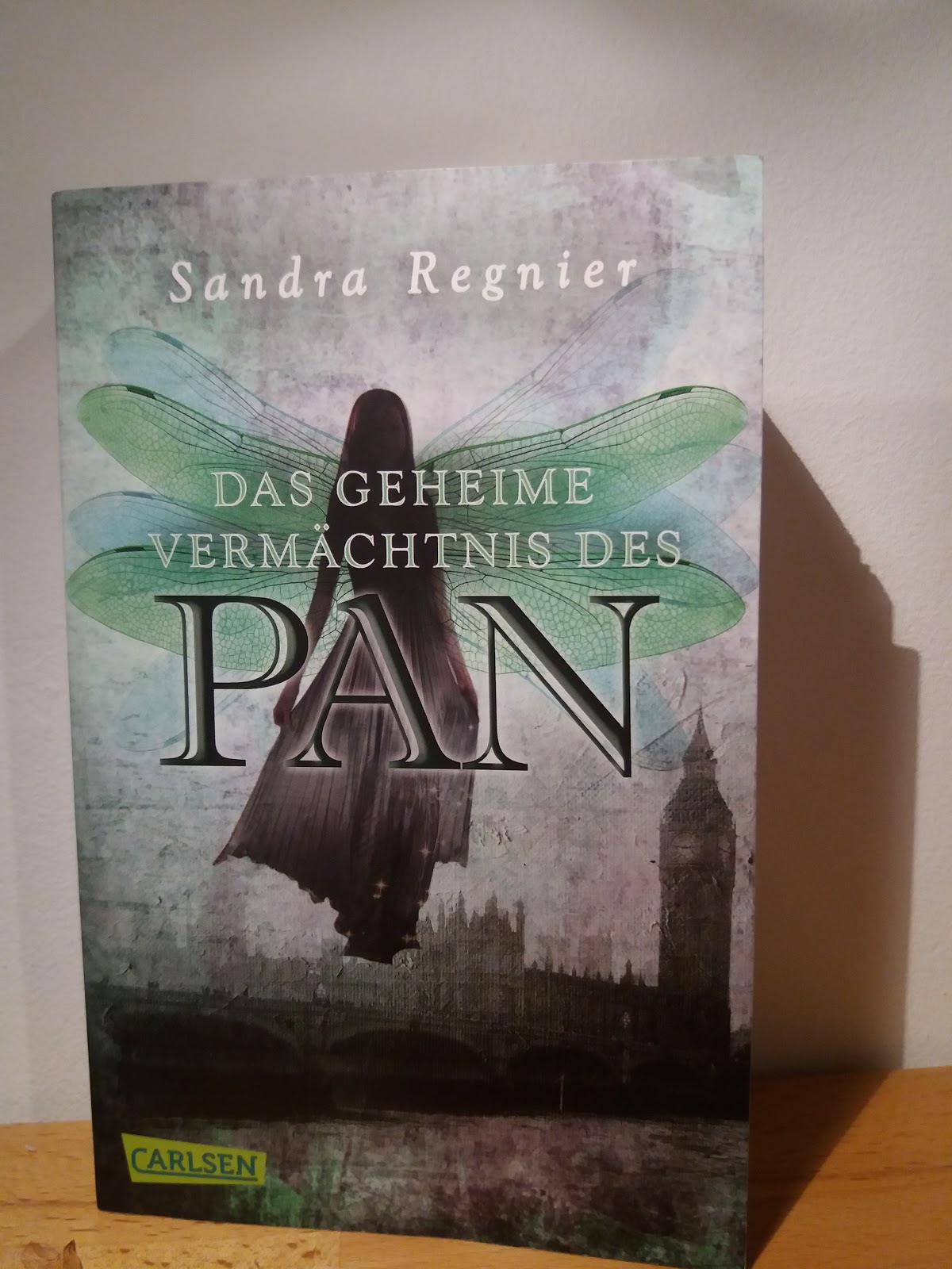 Bücherträumer Pan 1 Das Geheime Vermächtnis des Pan