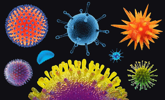 Flu virus collage