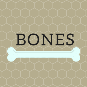 Bones ボーンズ 骨は語る シーズン12 ファイナルシーズン 第10話 降ってきた遺体 あらすじと感想 ネタバレ注意 ぶーぶーぶたこのおすすめ海外ドラマぶログ