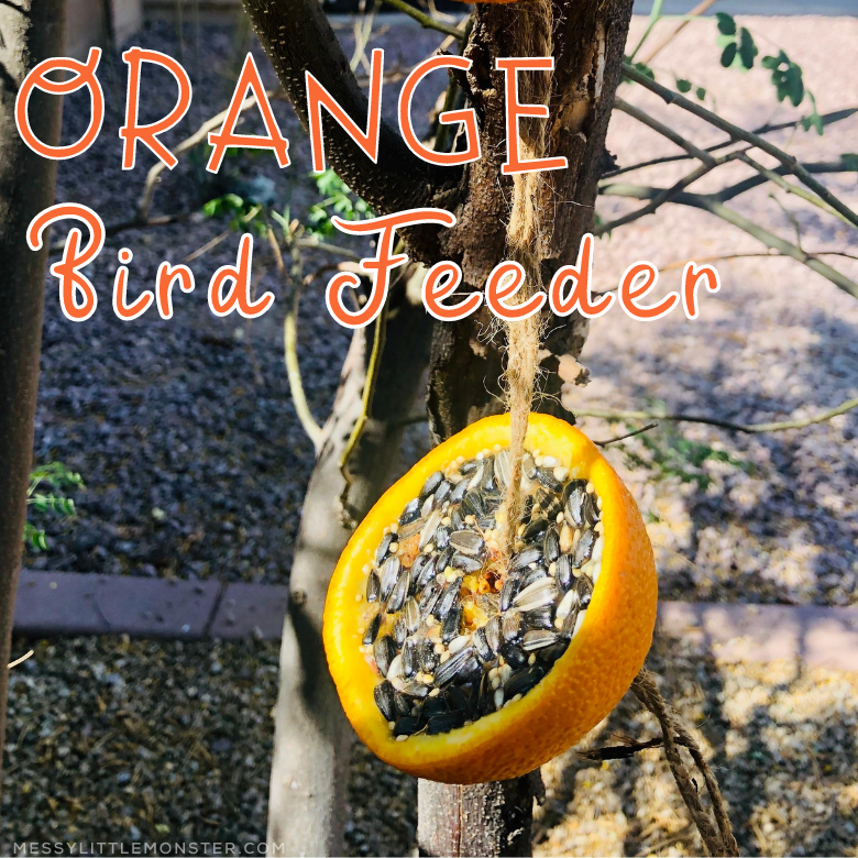 orange bird feeder