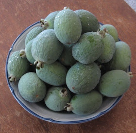 Pineapple guavas