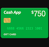 $750 TO YOUR CASH APP (US)