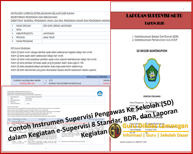 Contoh Instrumen Supervisi Pengawas Ke Sekolah Sd Dalam Kegiatan E Supervisi 8 Standar Bdr Dan Laporan Kegiatan