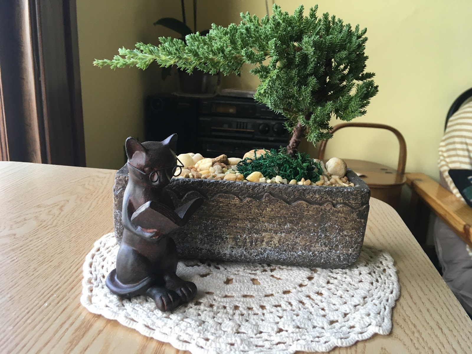 It's all about the cats! Bonsai tree!