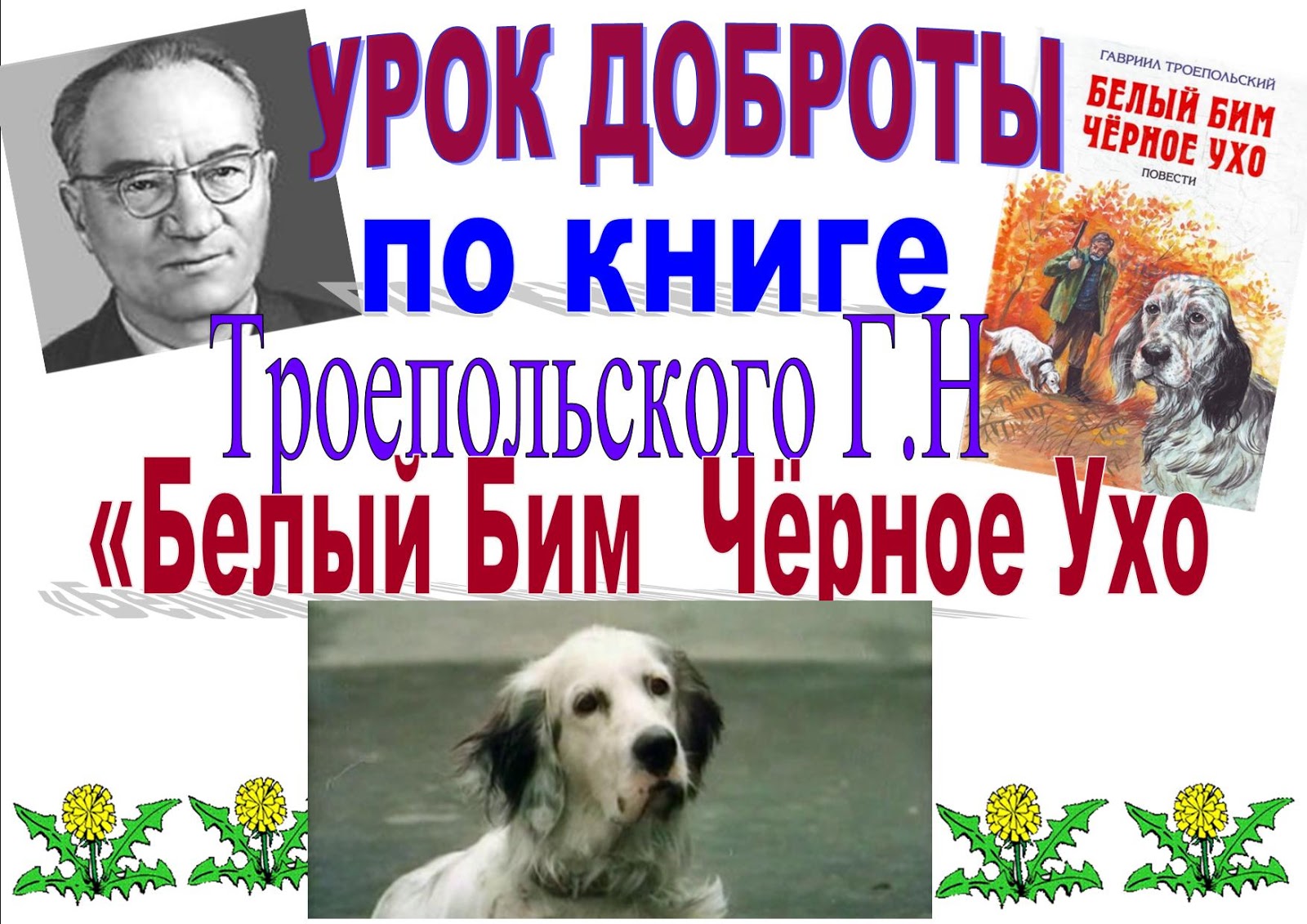 книга юбиляр белый бим черное ухо. идеи для рисунка животных собак акварелью белый бим черное ухо. белый бим черное ухо автор гавриил троепольский. белый бим черное ухо 1976. бим черное ухо цитаты.