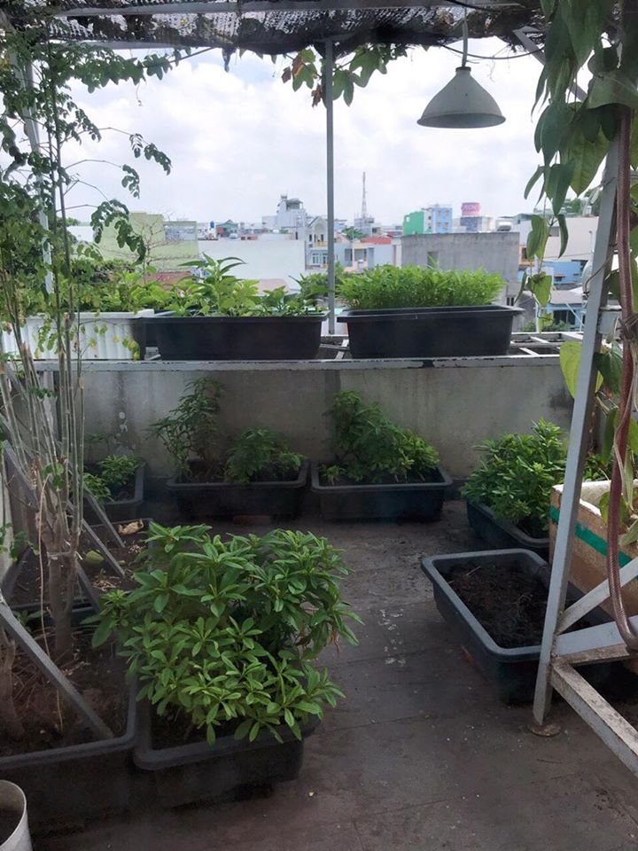 Bán nhà Quận Tân Phú dưới 3 tỷ, Hẻm xe hơi đường Gò Dầu, 1 trệt 2 lầu ...