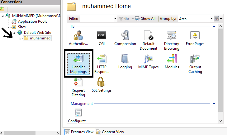 iis manager iis manager