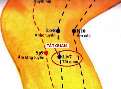 huyệt tất quan