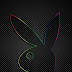 Mr. Rabbit Smart rabbit portrait with shiny colors on black texture wallpaper for smartphones