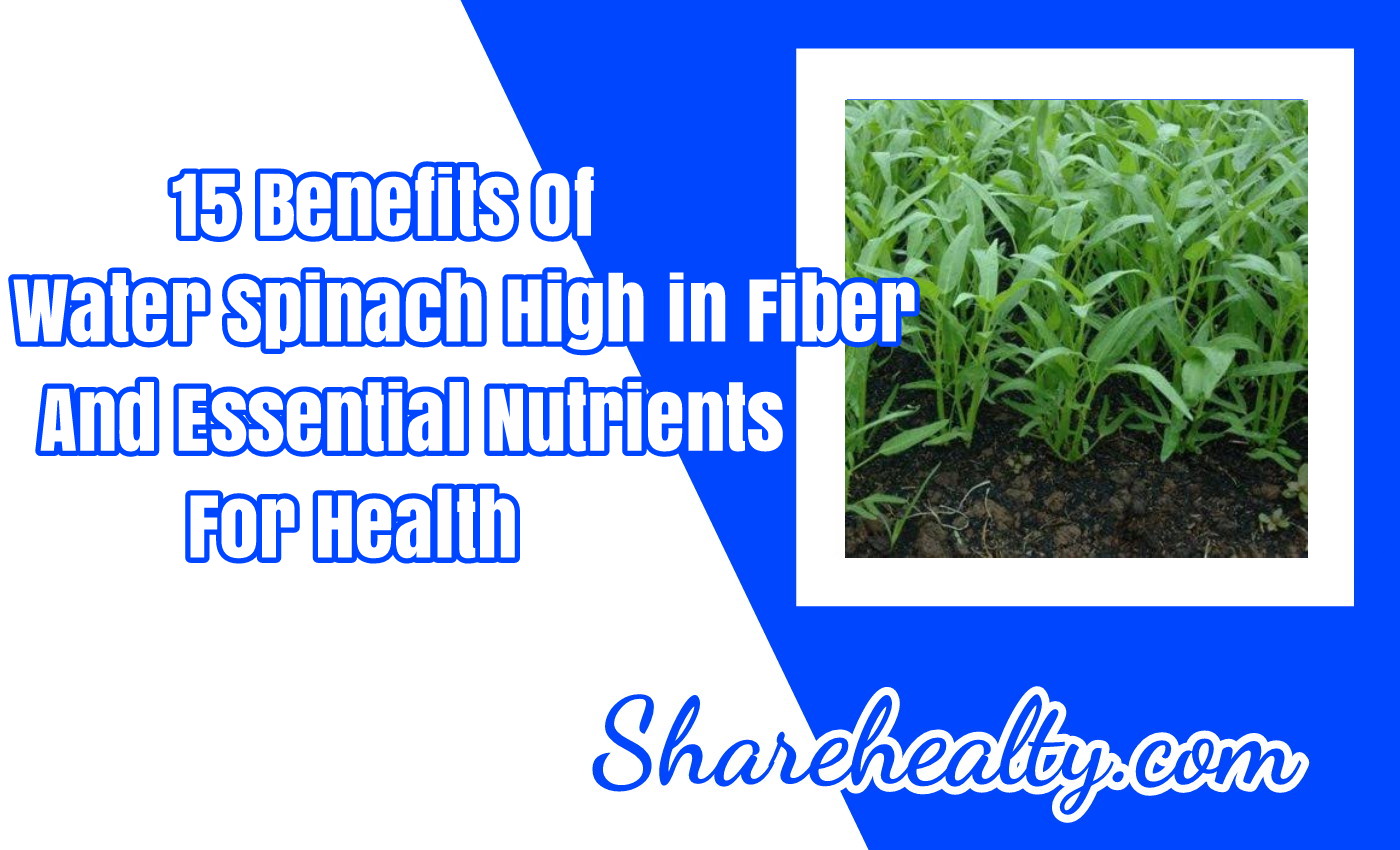 15 Benefits of Water Spinach High in Fiber and Essential Nutrients for