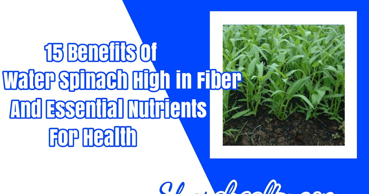 15 Benefits of Water Spinach High in Fiber and Essential Nutrients for