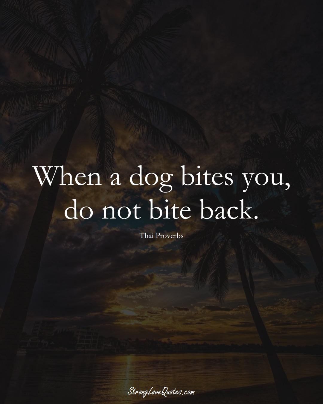 When a dog bites you, do not bite back. (Thai Sayings);  #AsianSayings
