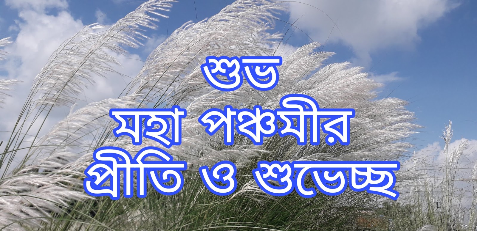 Durga Puja HD Images Download, Durga Puja Wishes Pictures 2024
