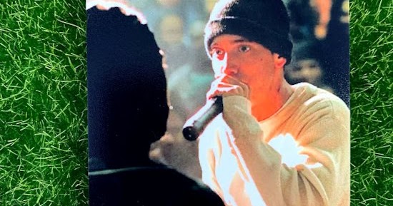 Phantom Cardboard: B-Rabbit