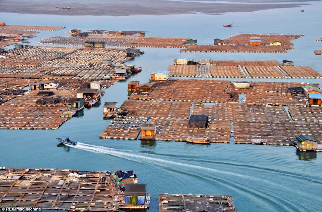 Tanka community, China