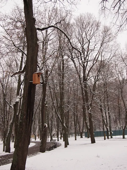 Travel Month: November