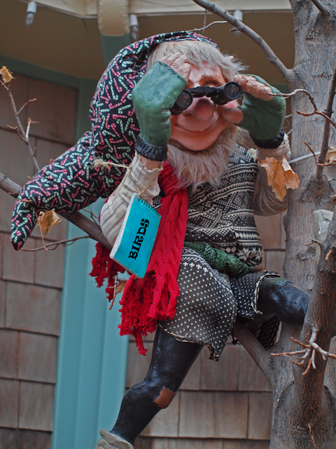 Birding Is Fun!: This Week's Best in Bird Blogging #12 - Christmas Eve ...