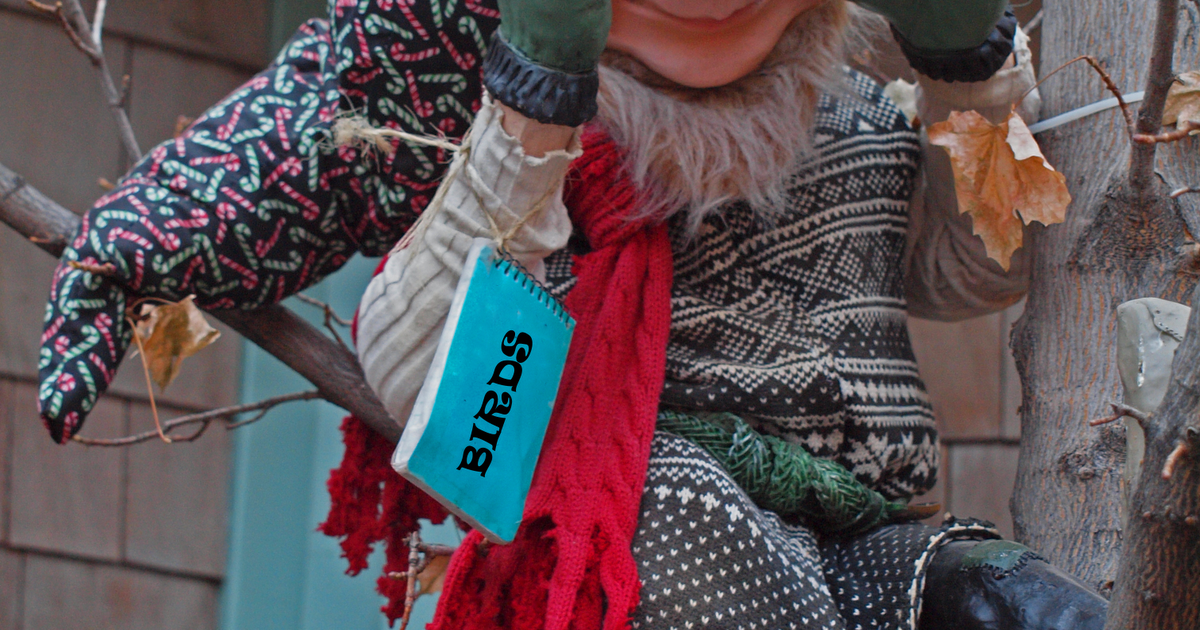 Birding Is Fun!: This Week's Best in Bird Blogging #12 - Christmas Eve ...